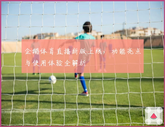 企鹅体育直播新版上线，功能亮点与使用体验全解析