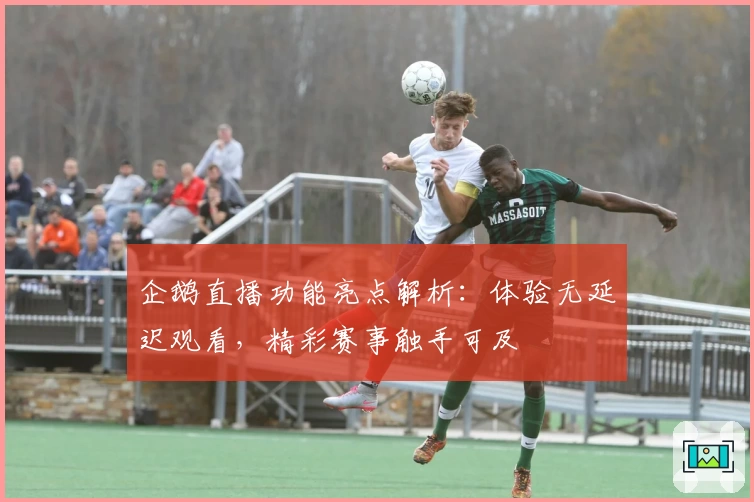 企鹅直播功能亮点解析：体验无延迟观看，精彩赛事触手可及