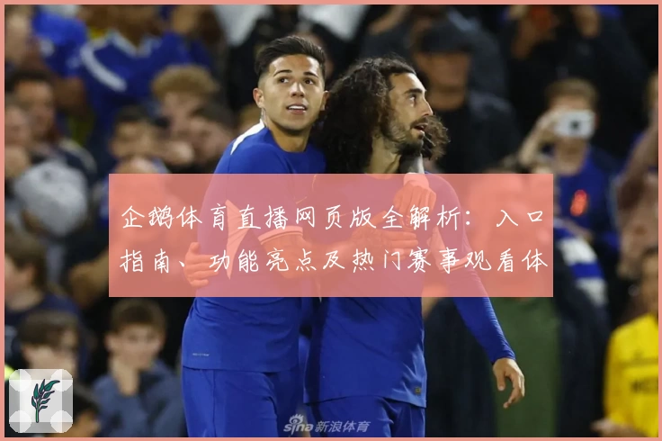 企鹅体育直播网页版全解析：入口指南、功能亮点及热门赛事观看体验