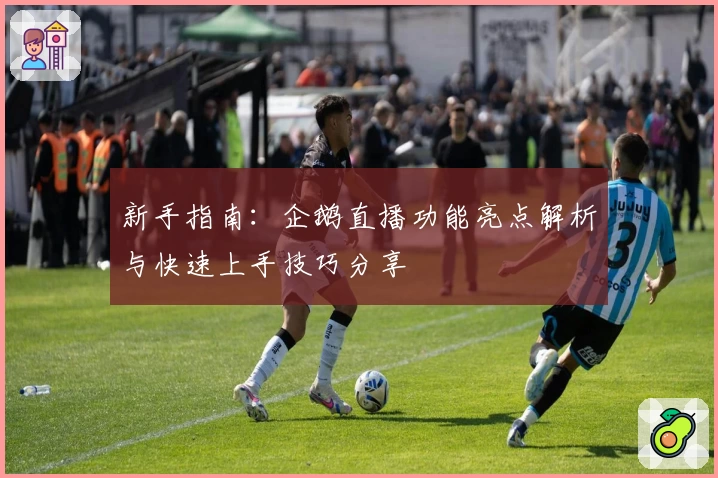 新手指南：企鹅直播功能亮点解析与快速上手技巧分享