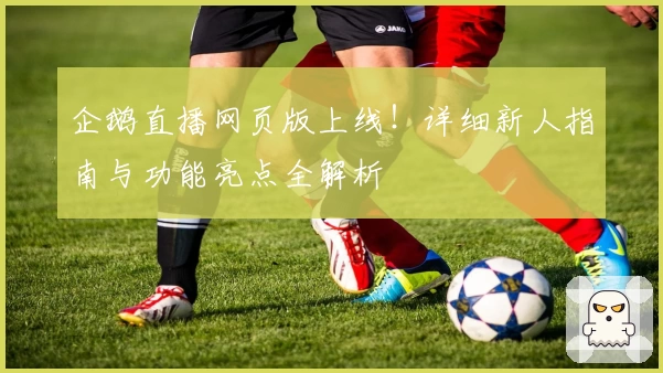 企鹅直播网页版上线！详细新人指南与功能亮点全解析