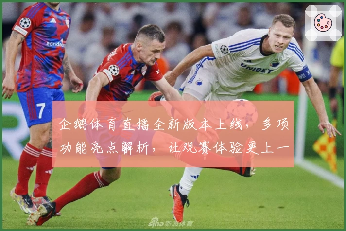 企鹅体育直播全新版本上线，多项功能亮点解析，让观赛体验更上一层楼