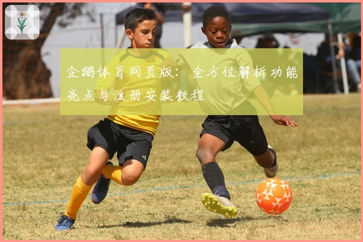 企鹅体育网页版：全方位解析功能亮点与注册安装教程
