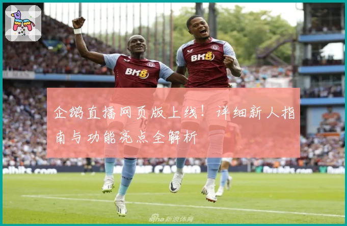 企鹅直播网页版上线！详细新人指南与功能亮点全解析