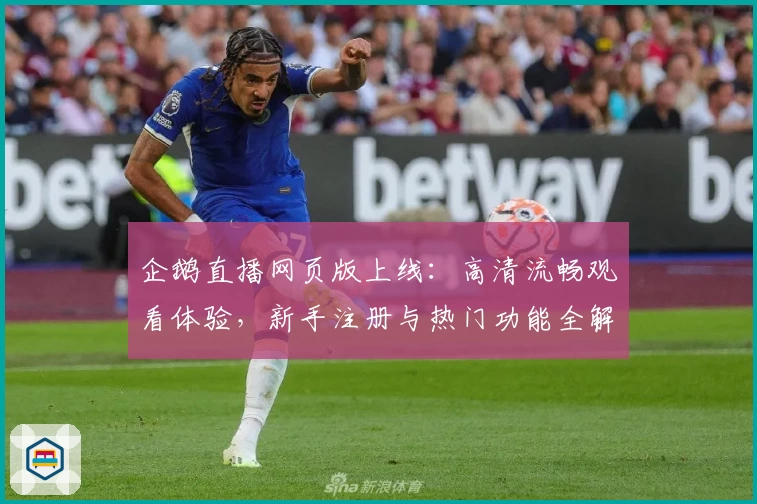 企鹅直播网页版上线：高清流畅观看体验，新手注册与热门功能全解析